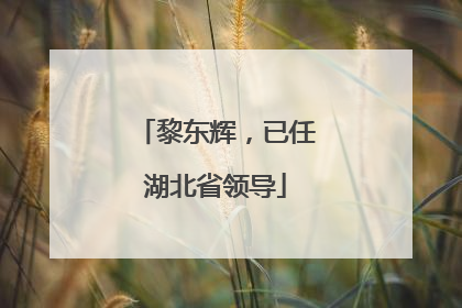黎东辉，已任湖北省领导