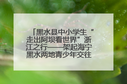 黑水县中小学生“走出阿坝看世界”浙江之行——架起海宁黑水两地青少年交往交流交融新桥梁