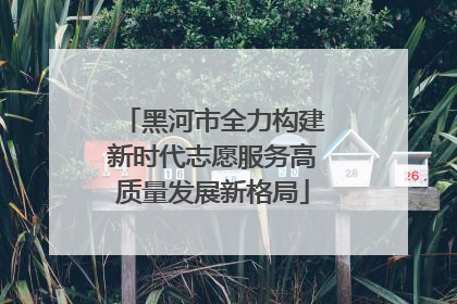 黑河市全力构建新时代志愿服务高质量发展新格局