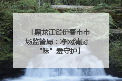 黑龙江省伊春市市场监管局：净网清厨 “味”爱守护