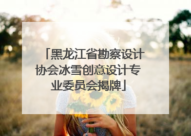 黑龙江省勘察设计协会冰雪创意设计专业委员会揭牌
