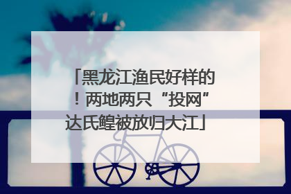 黑龙江渔民好样的！两地两只“投网”达氏鳇被放归大江