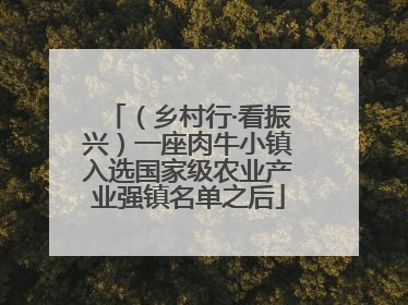 （乡村行·看振兴）一座肉牛小镇入选国家级农业产业强镇名单之后