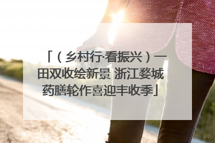 （乡村行·看振兴）一田双收绘新景 浙江婺城药膳轮作喜迎丰收季