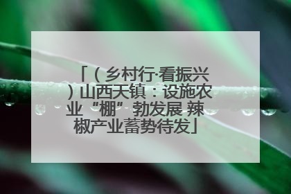 （乡村行·看振兴）山西天镇：设施农业“棚”勃发展 辣椒产业蓄势待发