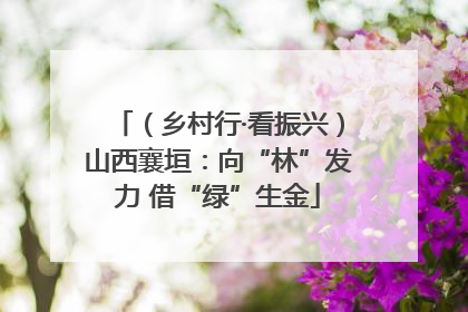 （乡村行·看振兴）山西襄垣：向“林”发力 借“绿”生金