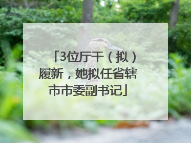 3位厅干（拟）履新，她拟任省辖市市委副书记