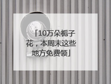 10万朵栀子花，本周末这些地方免费领