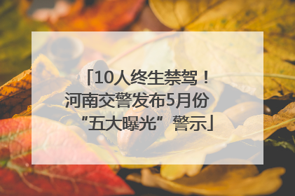10人终生禁驾！河南交警发布5月份“五大曝光”警示