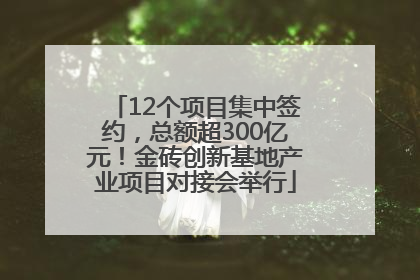 12个项目集中签约，总额超300亿元！金砖创新基地产业项目对接会举行