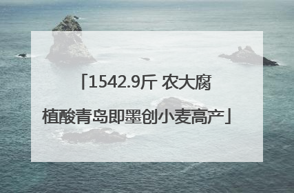 1542.9斤 农大腐植酸青岛即墨创小麦高产