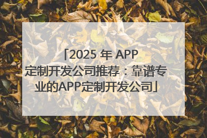 2025 年 APP 定制开发公司推荐：靠谱专业的APP定制开发公司
