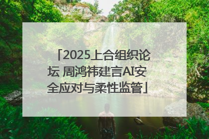 2025上合组织论坛 周鸿祎建言AI安全应对与柔性监管