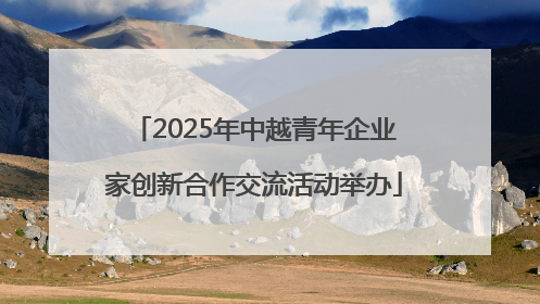 2025年中越青年企业家创新合作交流活动举办