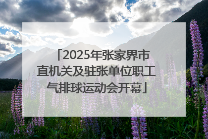2025年张家界市直机关及驻张单位职工气排球运动会开幕