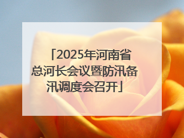 2025年河南省总河长会议暨防汛备汛调度会召开