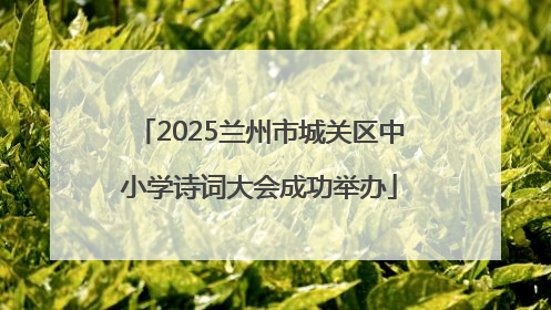 2025兰州市城关区中小学诗词大会成功举办