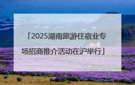 2025湖南旅游住宿业专场招商推介活动在沪举行
