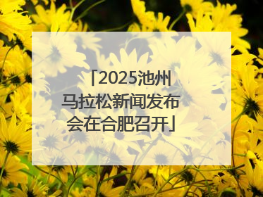 2025池州马拉松新闻发布会在合肥召开