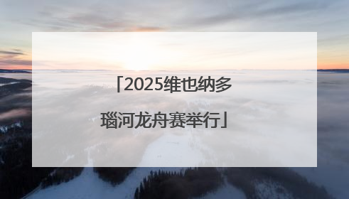 2025维也纳多瑙河龙舟赛举行