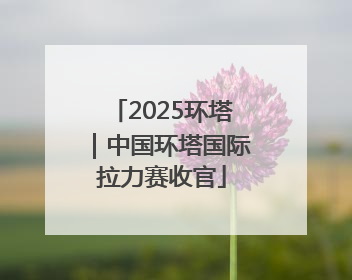 2025环塔｜中国环塔国际拉力赛收官