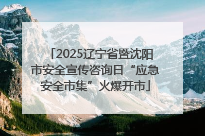 2025辽宁省暨沈阳市安全宣传咨询日“应急安全市集”火爆开市