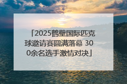 2025鹤壁国际匹克球邀请赛圆满落幕 300余名选手激情对决