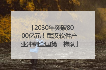 2030年突破8000亿元！武汉软件产业冲刺全国第一梯队