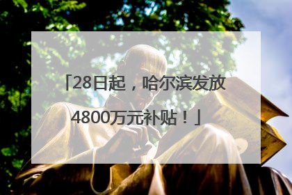 28日起，哈尔滨发放4800万元补贴！