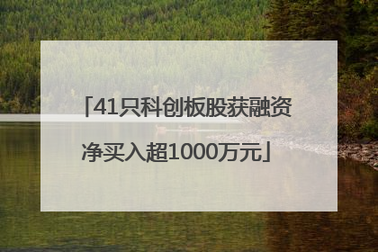 41只科创板股获融资净买入超1000万元