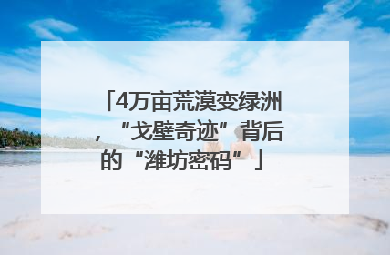4万亩荒漠变绿洲，“戈壁奇迹”背后的“潍坊密码”