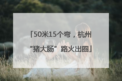 50米15个弯，杭州“猪大肠”路火出圈