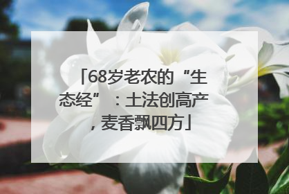 68岁老农的“生态经”：土法创高产，麦香飘四方