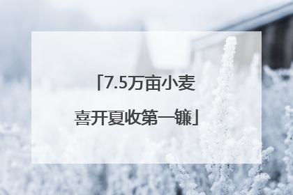 7.5万亩小麦喜开夏收第一镰