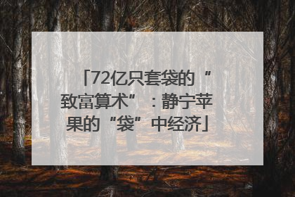 72亿只套袋的“致富算术”：静宁苹果的“袋”中经济