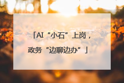 AI“小石”上岗，政务“边聊边办”