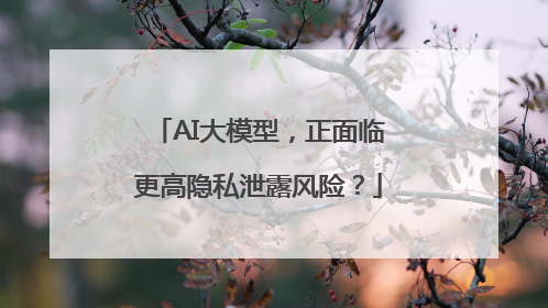 AI大模型，正面临更高隐私泄露风险？