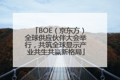BOE（京东方）全球供应伙伴大会举行，共筑全球显示产业共生共赢新格局