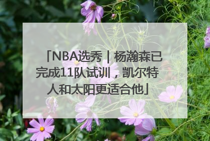 NBA选秀｜杨瀚森已完成11队试训，凯尔特人和太阳更适合他
