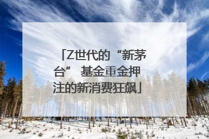 Z世代的“新茅台” 基金重金押注的新消费狂飙